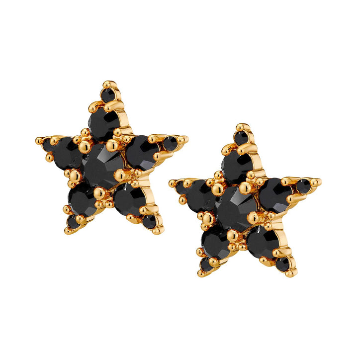 Cana Earring - SG/BLACK