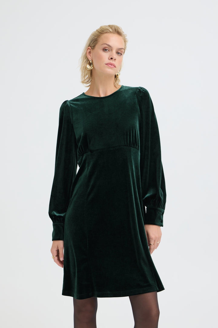 PZBARBARA DRESS - Scarab