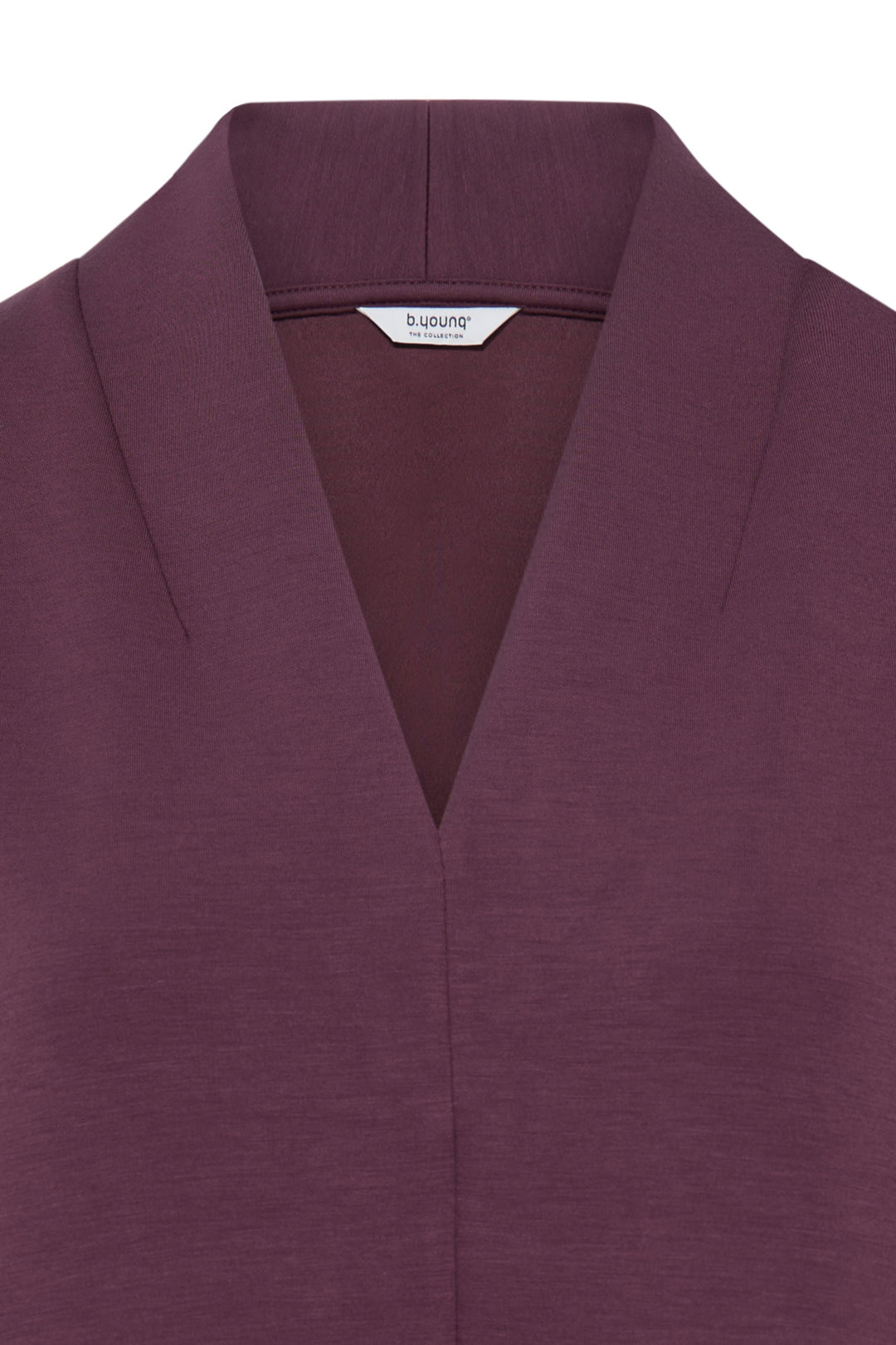 BYPUSTI VNECK  DRESS - Fig