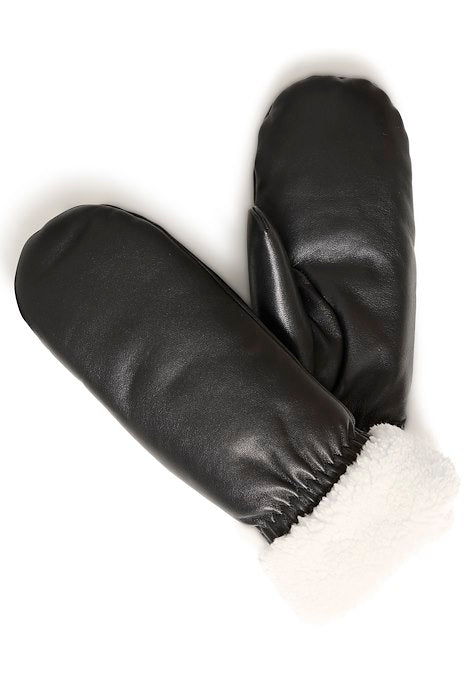 BYVANTE MITTENS 2 - Meteorite